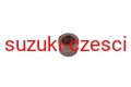 23264M53M20-ZI2.jpg