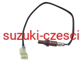 ESL-FT-002.jpg