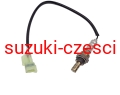 ESL-SU-005.jpg