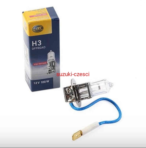 h3 100w.jpg