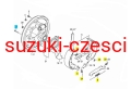 szczeki gv.jpg