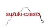 Przewód klimatyzacji Suzuki Swift III   