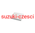 21-SZ-Z08.png