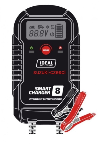 SMART8LCD_large.jpg