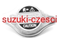 korek płytki gv11.jpg