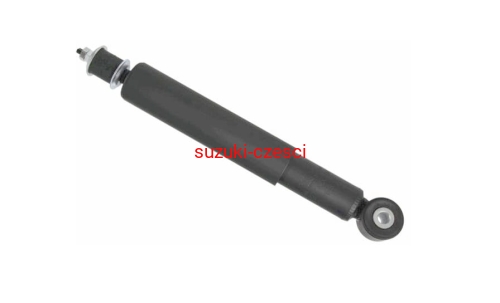 mg-5579 sahs.jpg
