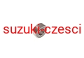 łożysko pólosi.jpg