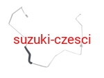 Przewód klimatyzacji Suzuki Swift III  