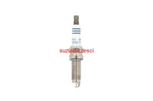 SWIECA DENSO.jpg