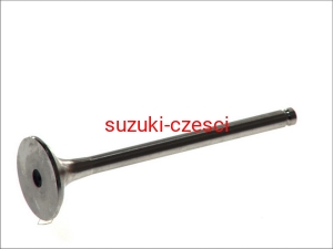 Zawór wydechowy Grand Vitara  1,9 ddis 2005-   AMP