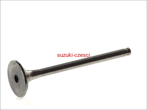 ZAWÓR WYD 1,9DDIS.jpg