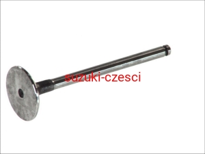 Zawór ssący Grand Vitara  1,9 ddis 2005-    AMP