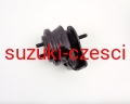 SZM-015-1.jpg