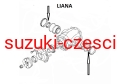 19027867B LIANA.jpg